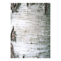 birch bark invitations