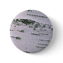 Birch bark detail pin