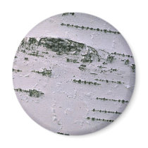 Birch bark detail magnets
