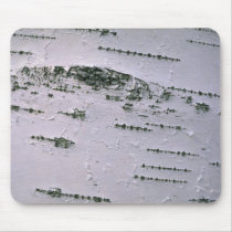 Birch bark detail mouse pad