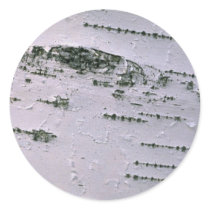 Birch bark detail round sticker