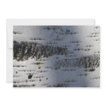 Birch bark custom announcements