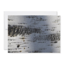 Birch bark custom announcements