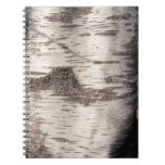 Birch Bark ~ Notebook