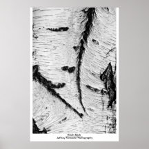 Birch Bark Print