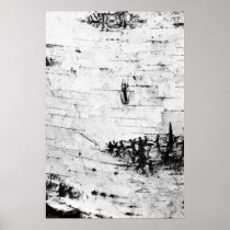 Birch bark posters
