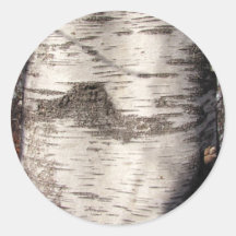 Birch Bark ~ sticker