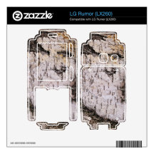 Birch Bark - wood texture nature photo Decals For LG Rumor