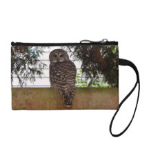 Birch Bay Owl Coin Purses