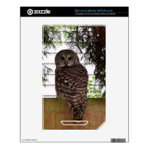 Birch Bay Owl Skins For The NOOK Color