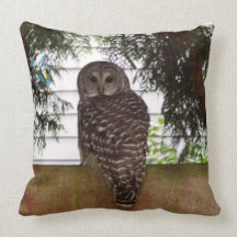 Birch Bay Owl Throw Pillows