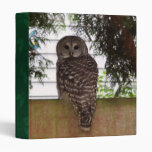 Birch Bay Owl Vinyl Binder
