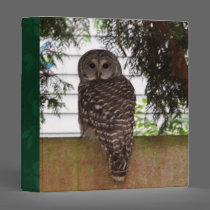 Birch Bay Owl binders
