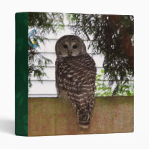 Birch Bay Owl Vinyl Binder