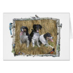 Birch Birds Horizontal Photo Card