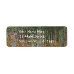 Birch Forest by Gustav Klimt Return Address Labels