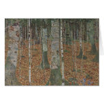 Birch Forest Cards