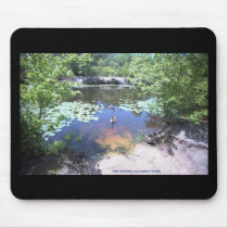 Birch Grove Park - Take a Gander at These Geese ! mousepads