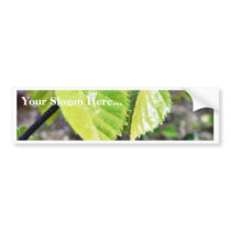 Birch Leaves Green Leaves Bumper Sticker
