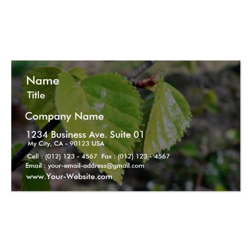 Birch Leaves Green Leaves Business Card Templates