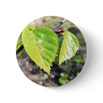 Birch Leaves Green Leaves Pinback Button