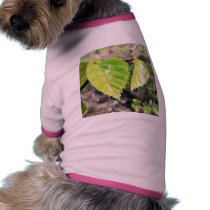 Birch Leaves Green Leaves Pet T-shirt