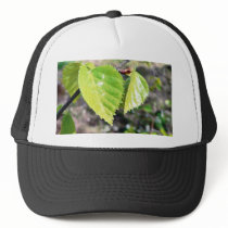 Birch Leaves Green Leaves Mesh Hat