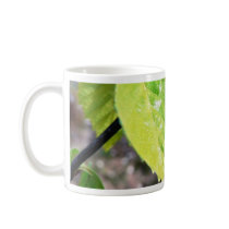 Birch Leaves Green Leaves Mugs