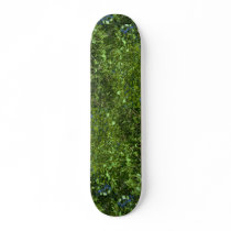 Birch leaves skate deck