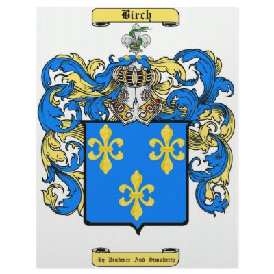 birch letterhead design by tdzsdz