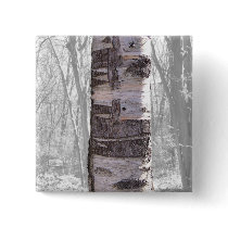 Birch Tree Pins