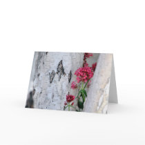 Birch Tree Card