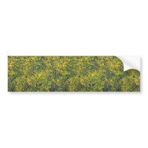 Birch tree detail bumper stickers