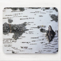 Birch tree in forest, detail, with moss mousepad