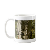 Birch tree coffee mugs