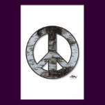 Birch Tree Peace Poster
