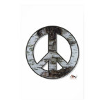 Birch Tree Peace Poster