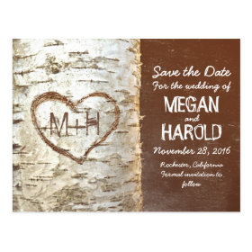 birch tree rustic save the date postcards