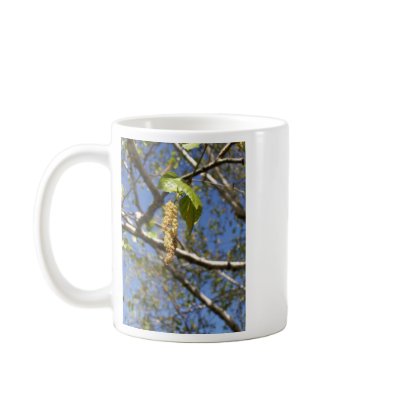 Birch Tree Seed Pods Mug by stonedorphotos
