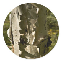 Birch tree round sticker