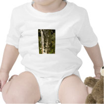 Birch tree t shirts