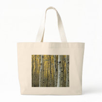 birch trees bag