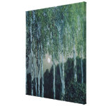 Birch Trees Gallery Wrap Canvas
