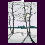 Birch Trees in the Morning