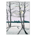 Birch Trees in the Morning
