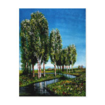 BIRCH TREES IN TUSCANY postcards by bulgan_lumini BIRCH TREES IN TUSCANY postcards