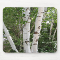 Birch Trees Mousepad