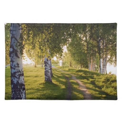 Birch trees placemat Zazzle