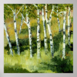 Birch Trees posters