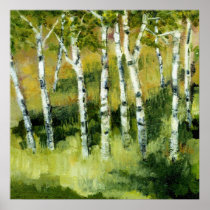 Birch Trees Poster